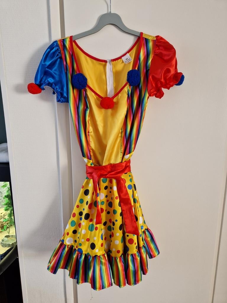 Clownsjurkje dames +pruik, Ophalen of Verzenden, Zo goed als nieuw, Maat 42/44 (L), Carnaval