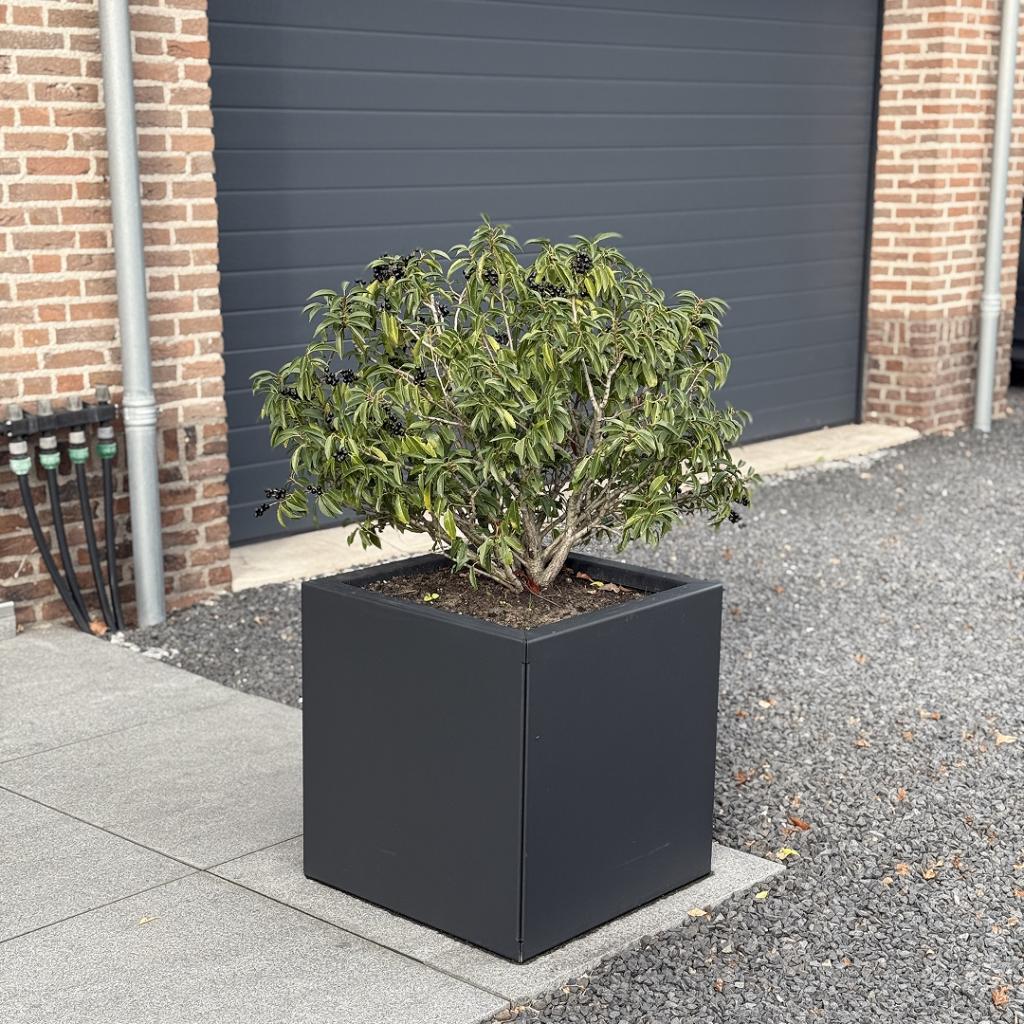 Stalen plantenbak 58 x 60 x 60 cm I Zwart - Wit - Antraciet, Tuin en Terras, Bloembakken en Plantenbakken, Nieuw, Metaal, Binnen