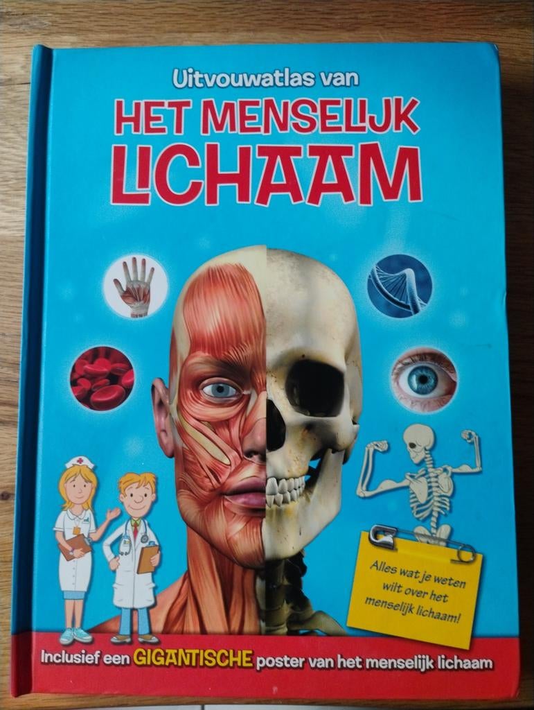 Uitvouw Atlas van het Menselijk Lichaam, Gelezen, Overige atlassen, Overige gebieden, Yoyo Books