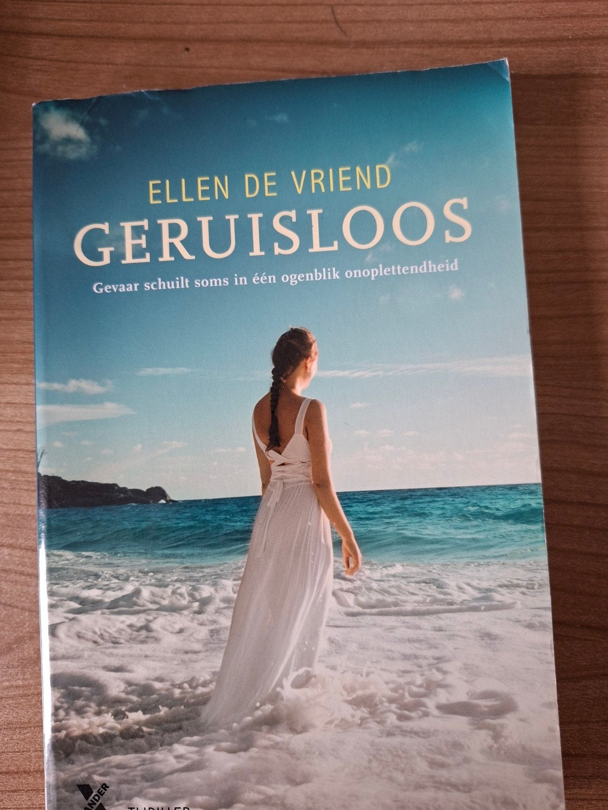 Geruisloos - Ellen de Vriend (Thriller), Boeken, Ophalen of Verzenden, Zo goed als nieuw, Ellen de Vriend, Nederland