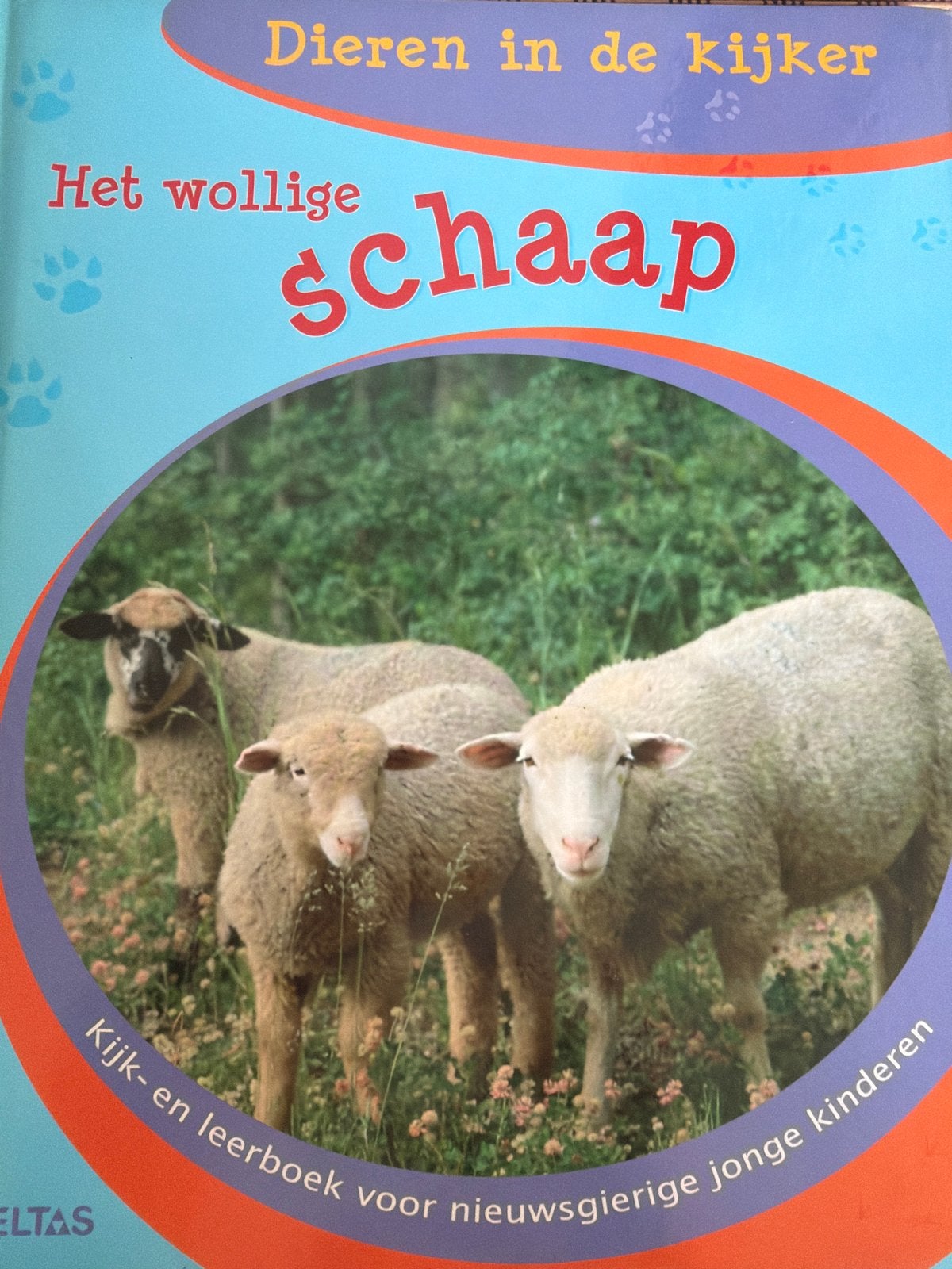 Dieren in de kijker: Het wollige schaap - Kijk- en leerboek, Boeken, Non-fictie, Jongen of Meisje, Ophalen of Verzenden, Zo goed als nieuw