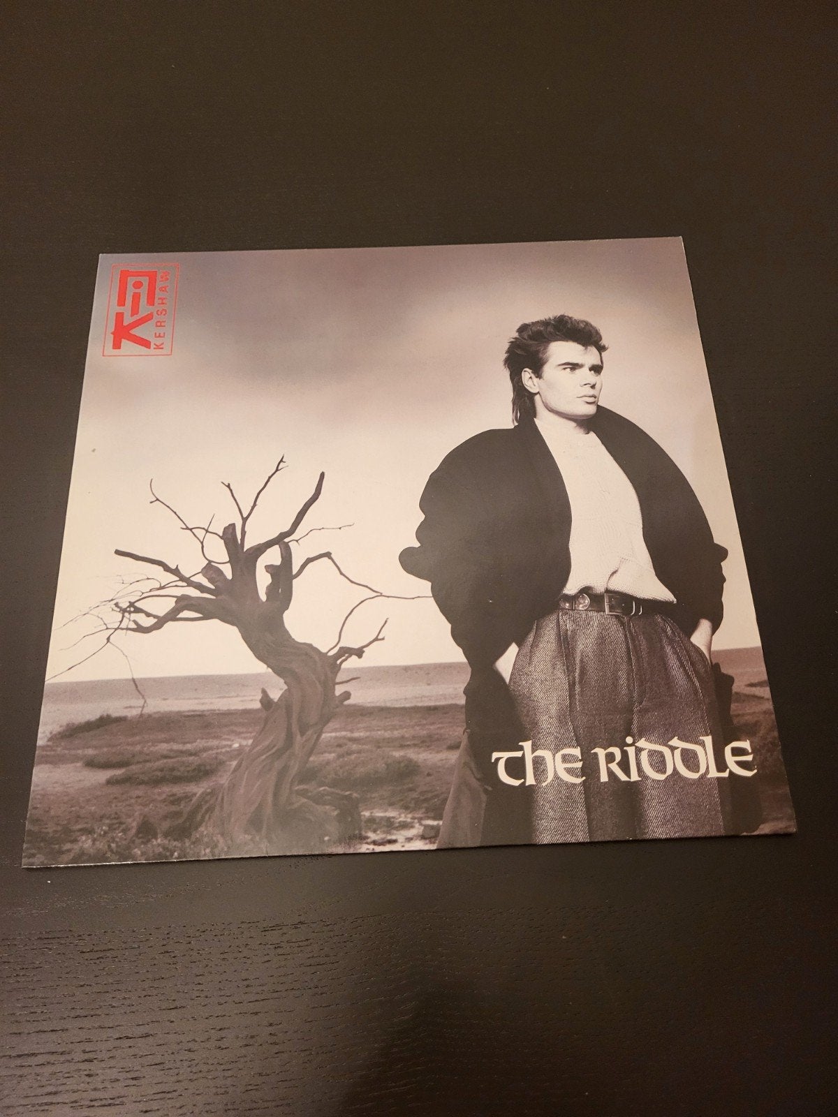 Nik Kershaw - The Riddle LP Vinyl, Ophalen, LP