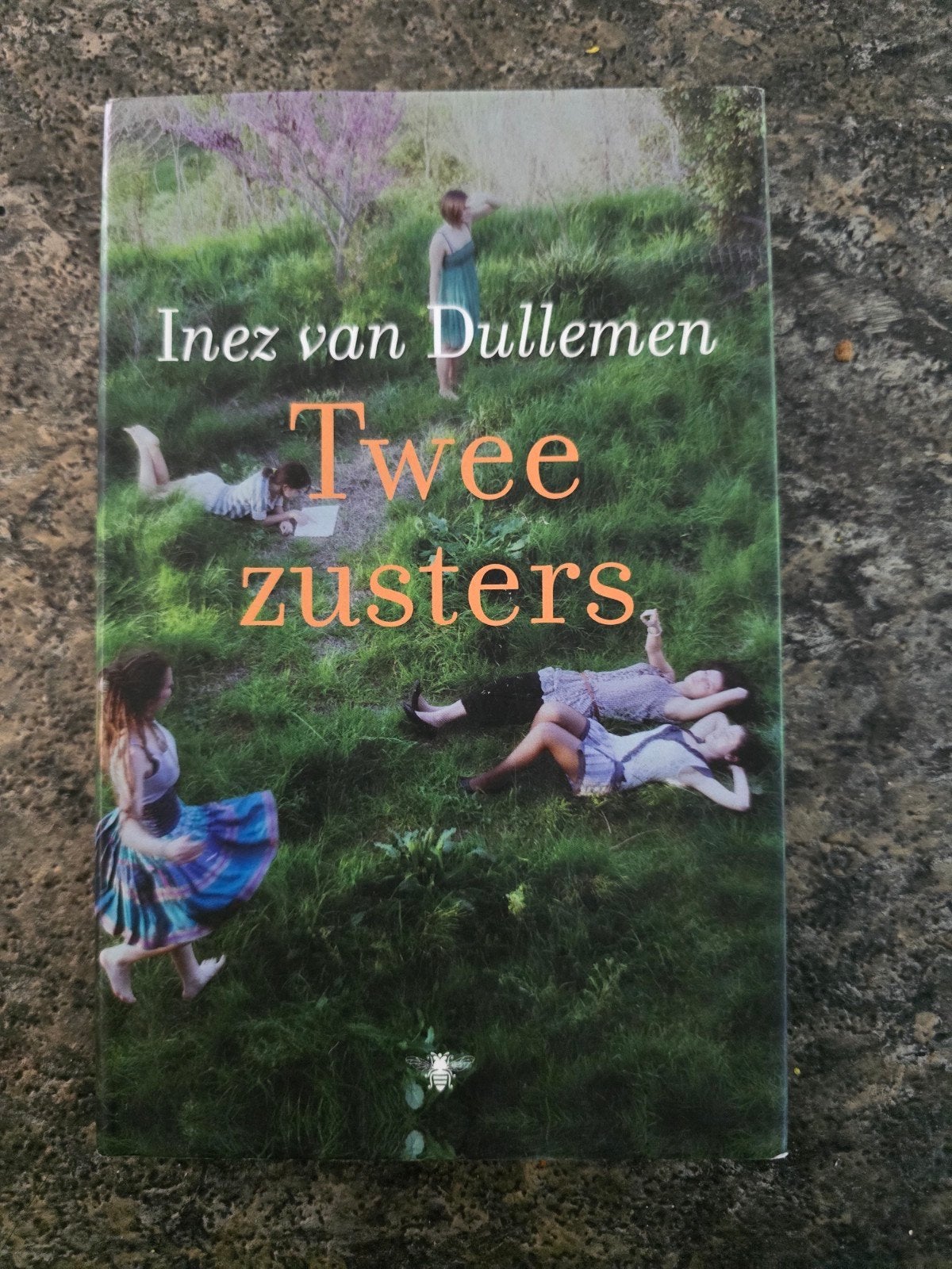 Twee zusters - Inez van Dullemen (Roman), Boeken, Ophalen of Verzenden, Zo goed als nieuw, Inez van Dullemen, Nederland
