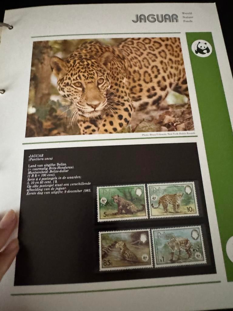 WWF Postzegelcollectie: Jaguar & Jachtluipaard (Eerste Dag), Postzegels en Munten, Verzenden, Onbeschreven, Rest van de wereld