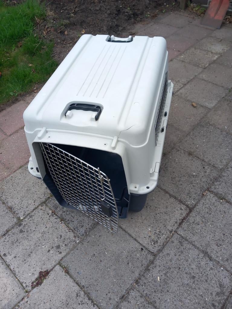 Stevige honden(vlieg)bench middelgrote hond, Ophalen