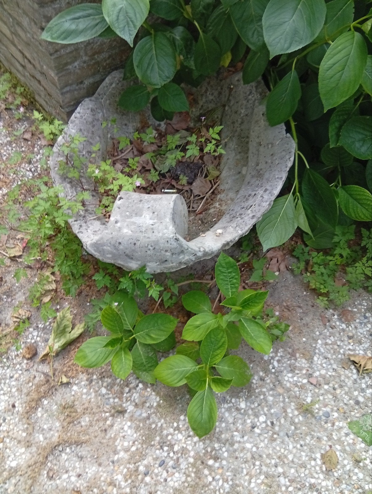 Grote zware schelp vorm, Tuin en Terras, Bloembakken en Plantenbakken, Ophalen, Rond