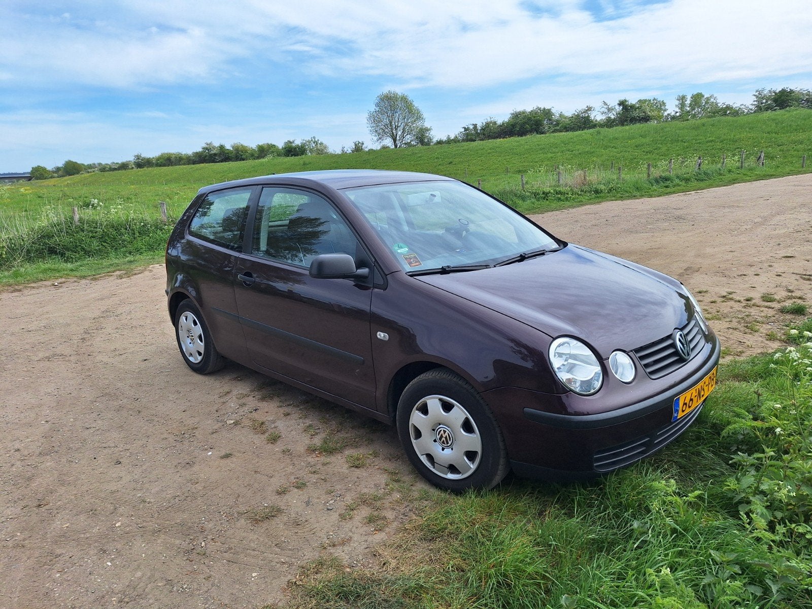 Volkswagen Polo 1.4 Comfort 2004 Airco Cruise Control, Stof, Origineel Nederlands, Handgeschakeld, Grijs