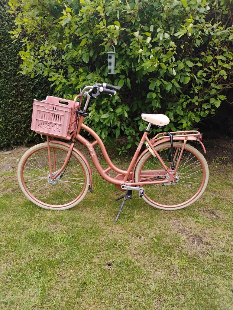 Sparta damesfiets - Roze met mandje opknapper!, Fietsen en Brommers, Fietsen | Dames | Damesfietsen, Ophalen, Terugtraprem, Sparta