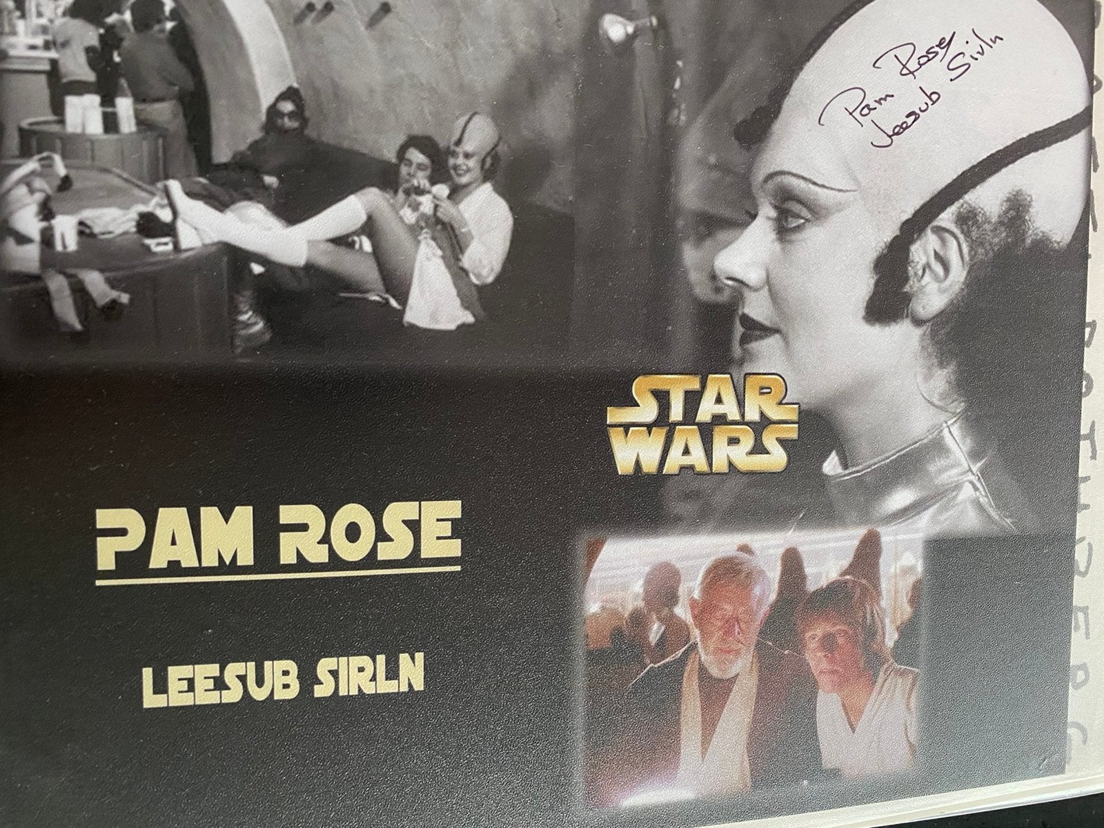 Filmster handtekening pam rose, Ophalen of Verzenden, Zo goed als nieuw, Actiefiguurtje