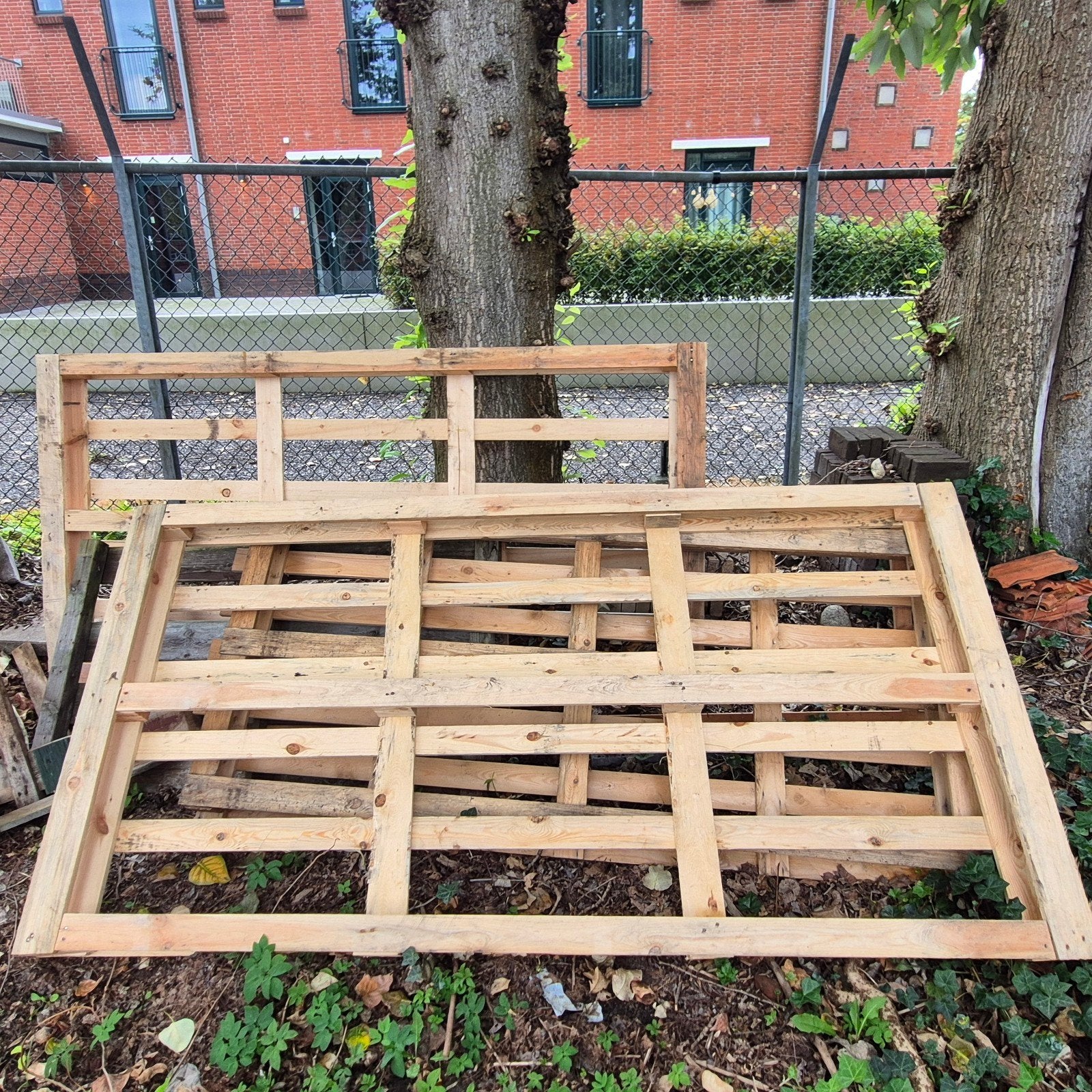 3 grote wn 2 keine Houten Pallets - Gebruikt maar in goede s, Ophalen, Gebruikt, 25 tot 50 mm, 200 tot 250 cm