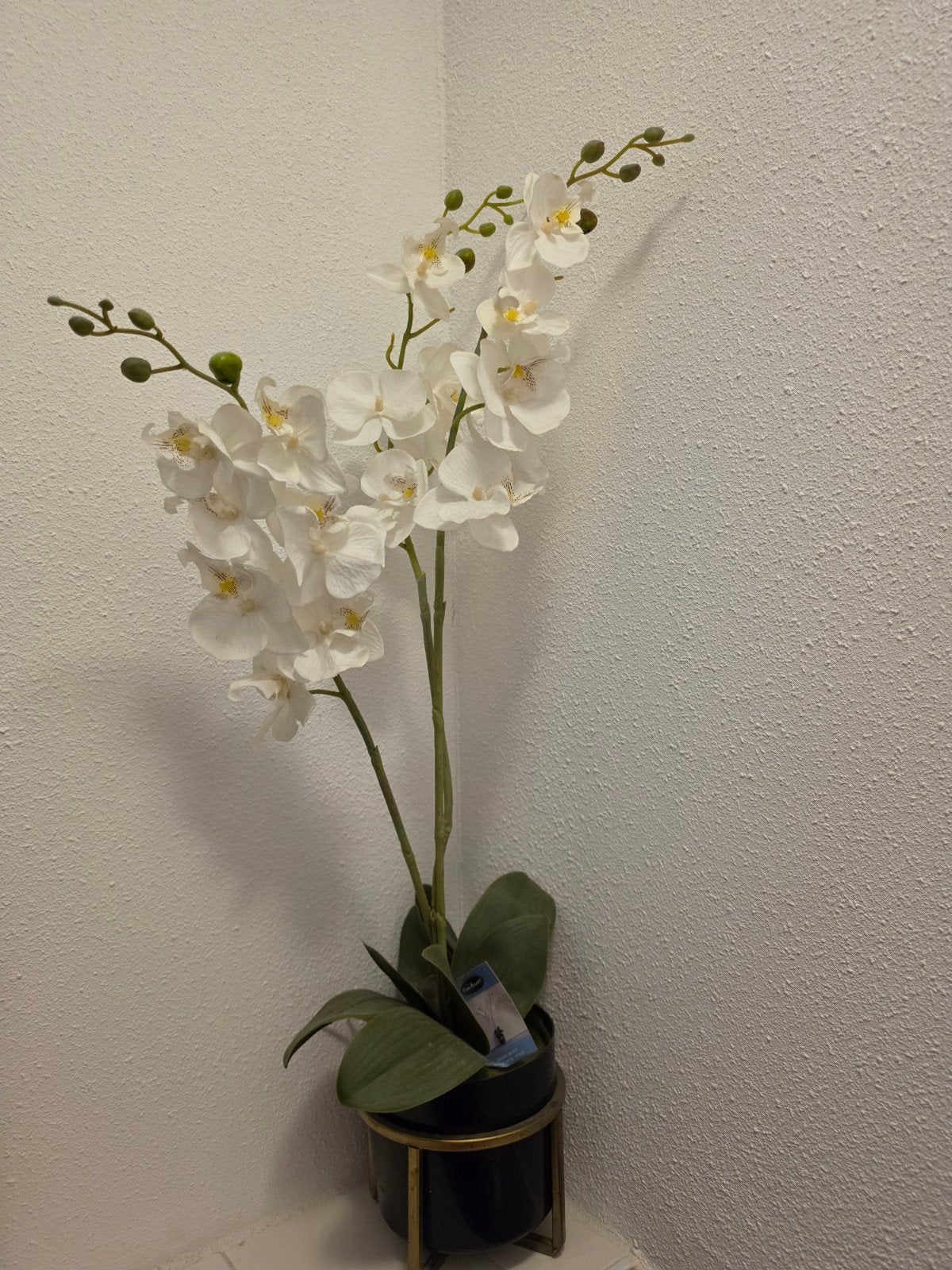 Mooie grote zijde orchidee wit, Ophalen, Zo goed als nieuw