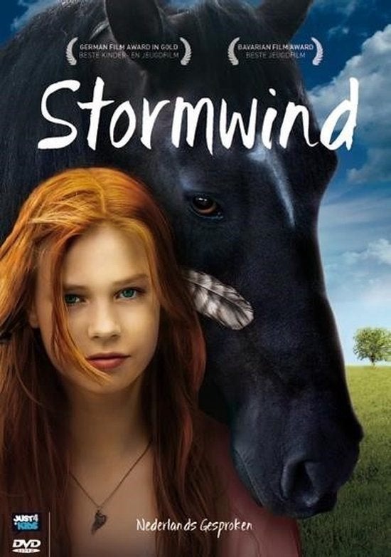 Stormwind, Vanaf 9 jaar, Ophalen of Verzenden, Zo goed als nieuw, Familie en Kinderfilm