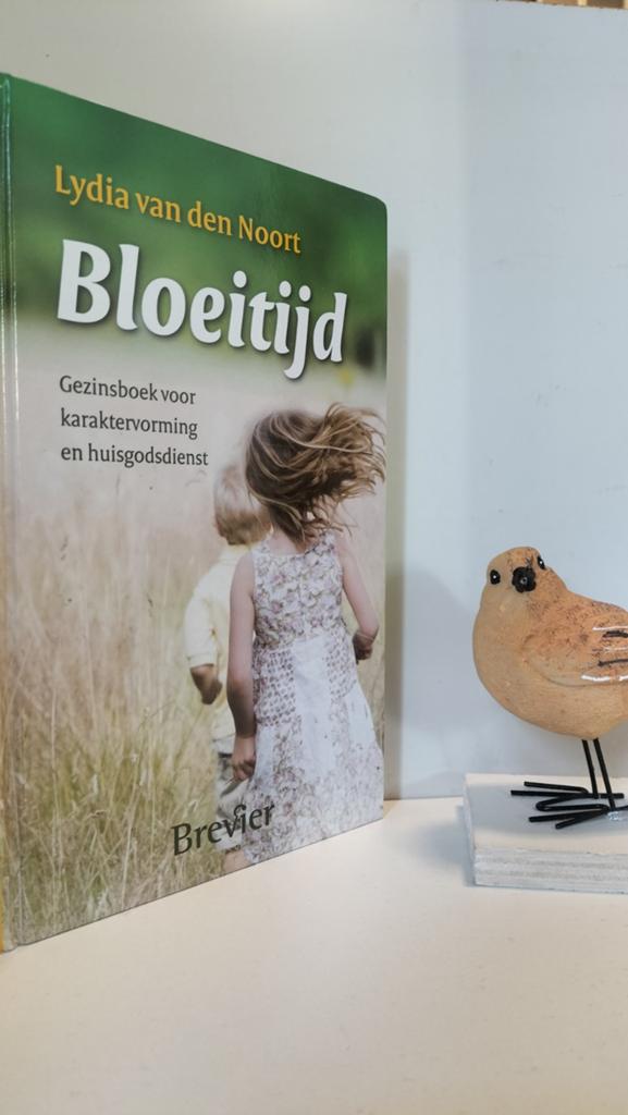 Noort, Lydia van den; Bloeitijd, Boeken, Godsdienst en Theologie, Ophalen of Verzenden, Gelezen, Christendom | Protestants