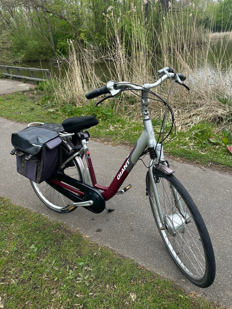 Elektrische fiets Giant Twist comfort, 47 tot 51 cm, Ophalen, Zo goed als nieuw, 30 tot 50 km per accu