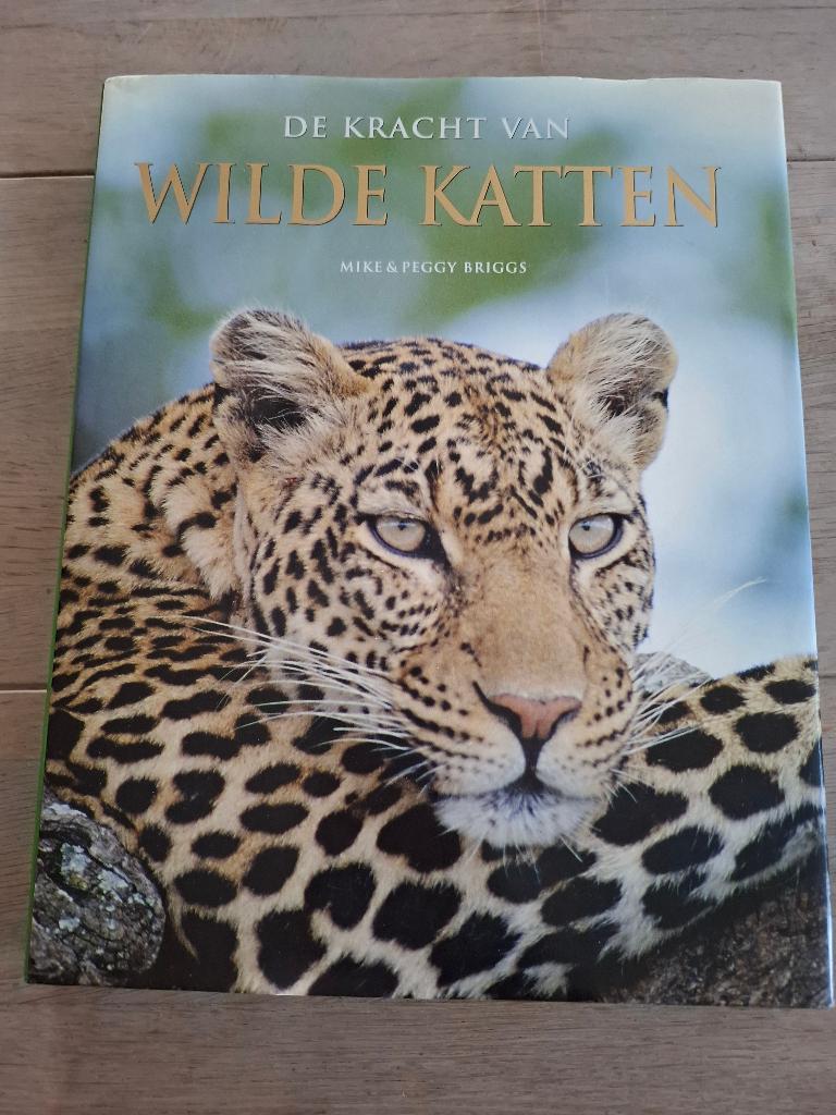 Boek de kracht van WILDE KATTEN, Ophalen, Nieuw, Mike en Peggy Briggs