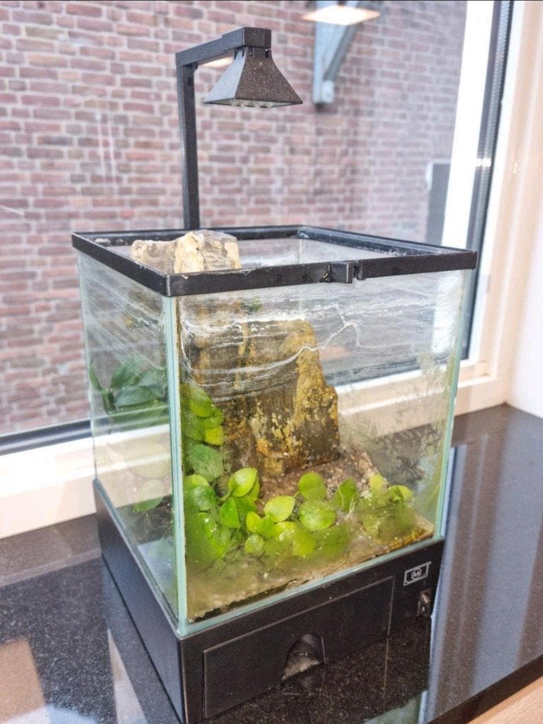 Fantastisch klein ( garnalen ) bakje - aquarium 25 x 25 cm, Ophalen, Overige merken, Zo goed als nieuw, Leeg aquarium