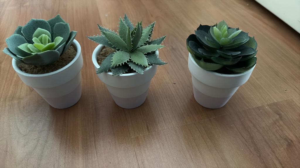 Nep cactussen in potje, Ophalen of Verzenden, Gebruikt
