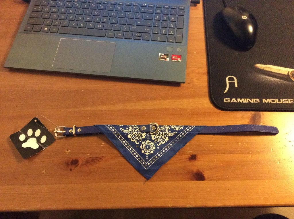 Honden halsband met zakdoekje. Blauw, 38 cm lang. Nieuw, Ophalen of Verzenden, Nieuw