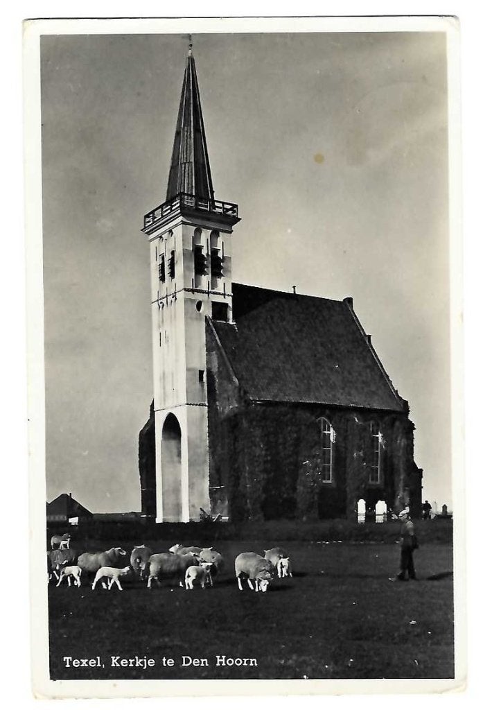 Texel - Kerkje te Den Hoorn met schapen, Verzenden, 1940 tot 1960, Gelopen, Waddeneilanden