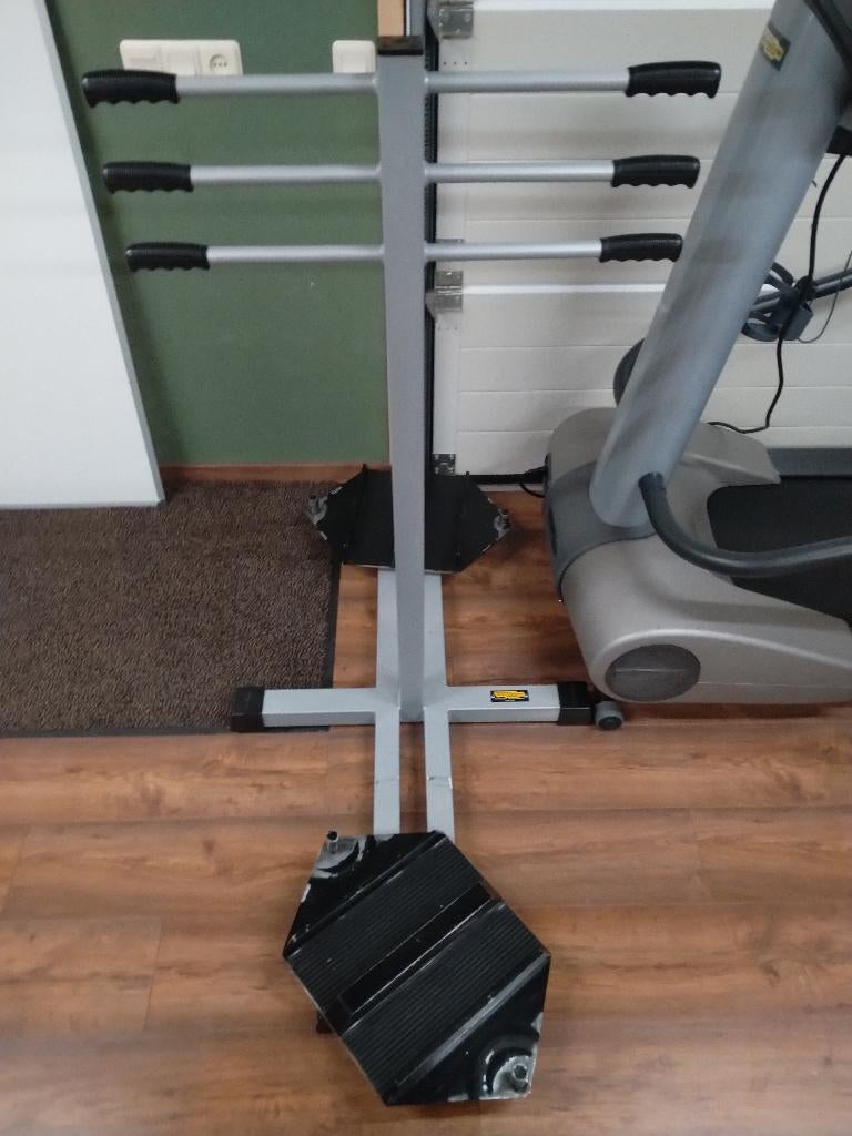 Technogym Isotonic Silver Line Twister, Ophalen of Verzenden, Gebruikt, Overige typen