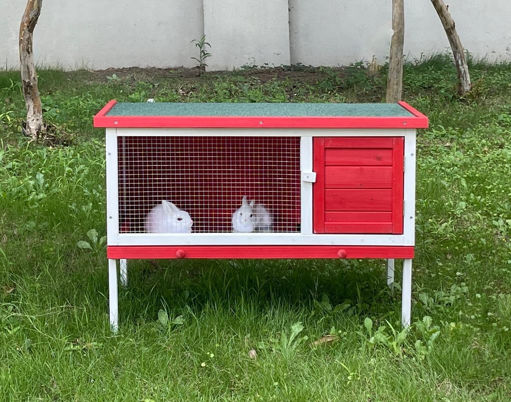 Konijnenhok - hok voor konijn cavia knaagdieren, Ophalen, Konijn, Nieuw, 90 cm of meer