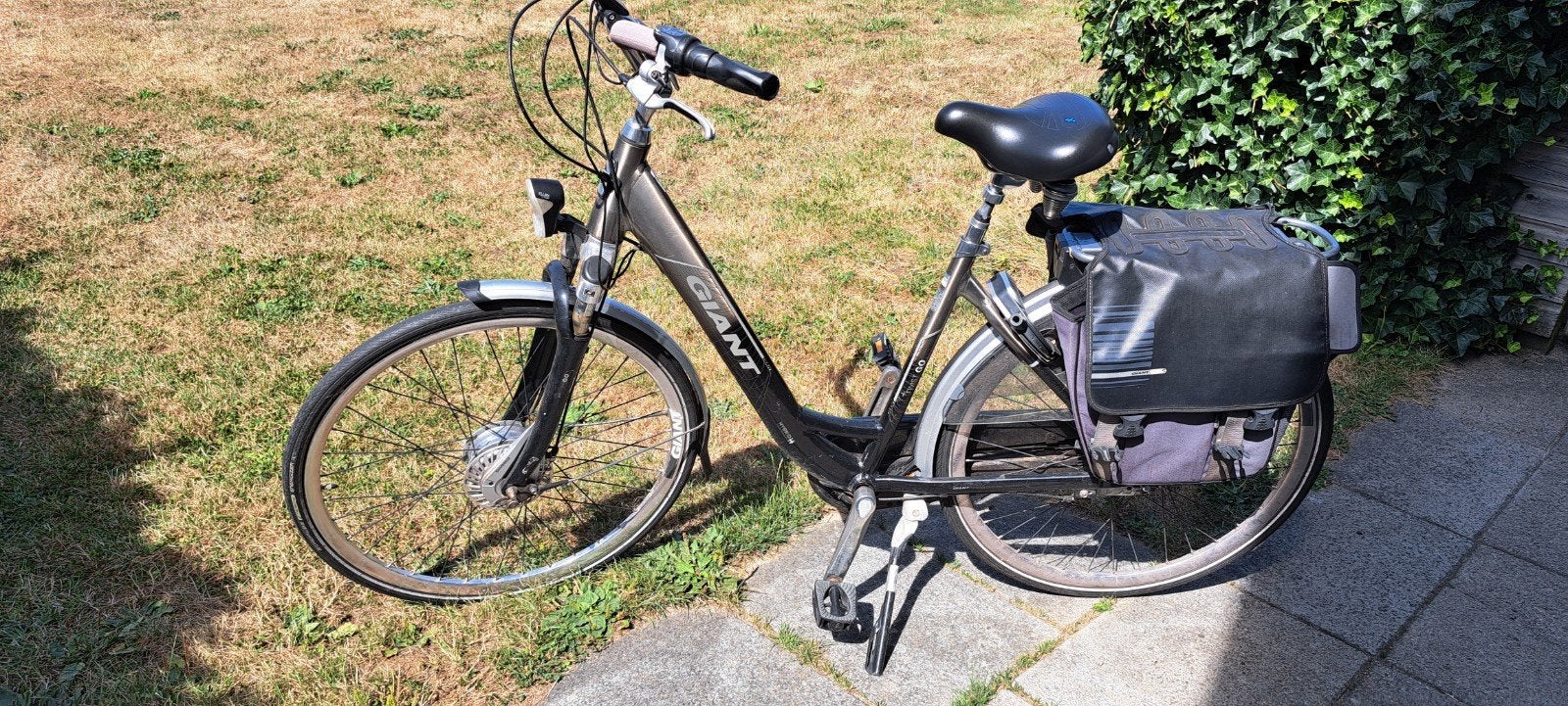 Giant elektrische fiets met 2 accu's en oplader, Ophalen