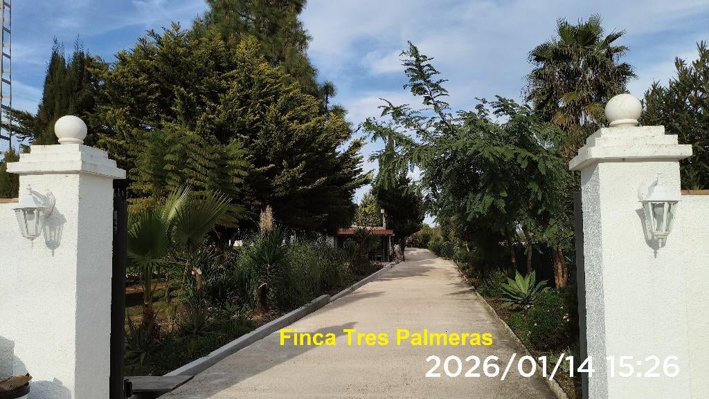 Foto 4 van Costa Blanca, het vakantiehuis op onze finca