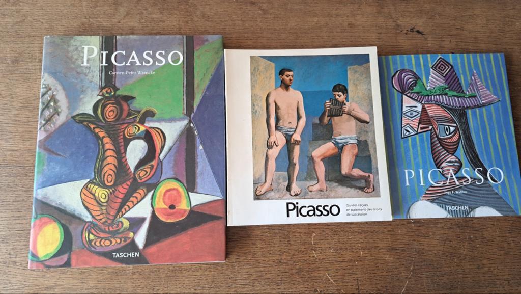 Picasso Kunstboeken Collectie - 3 Boeken, Boeken, Ophalen of Verzenden, Gelezen, Schilder- en Tekenkunst, Pablo Picasso