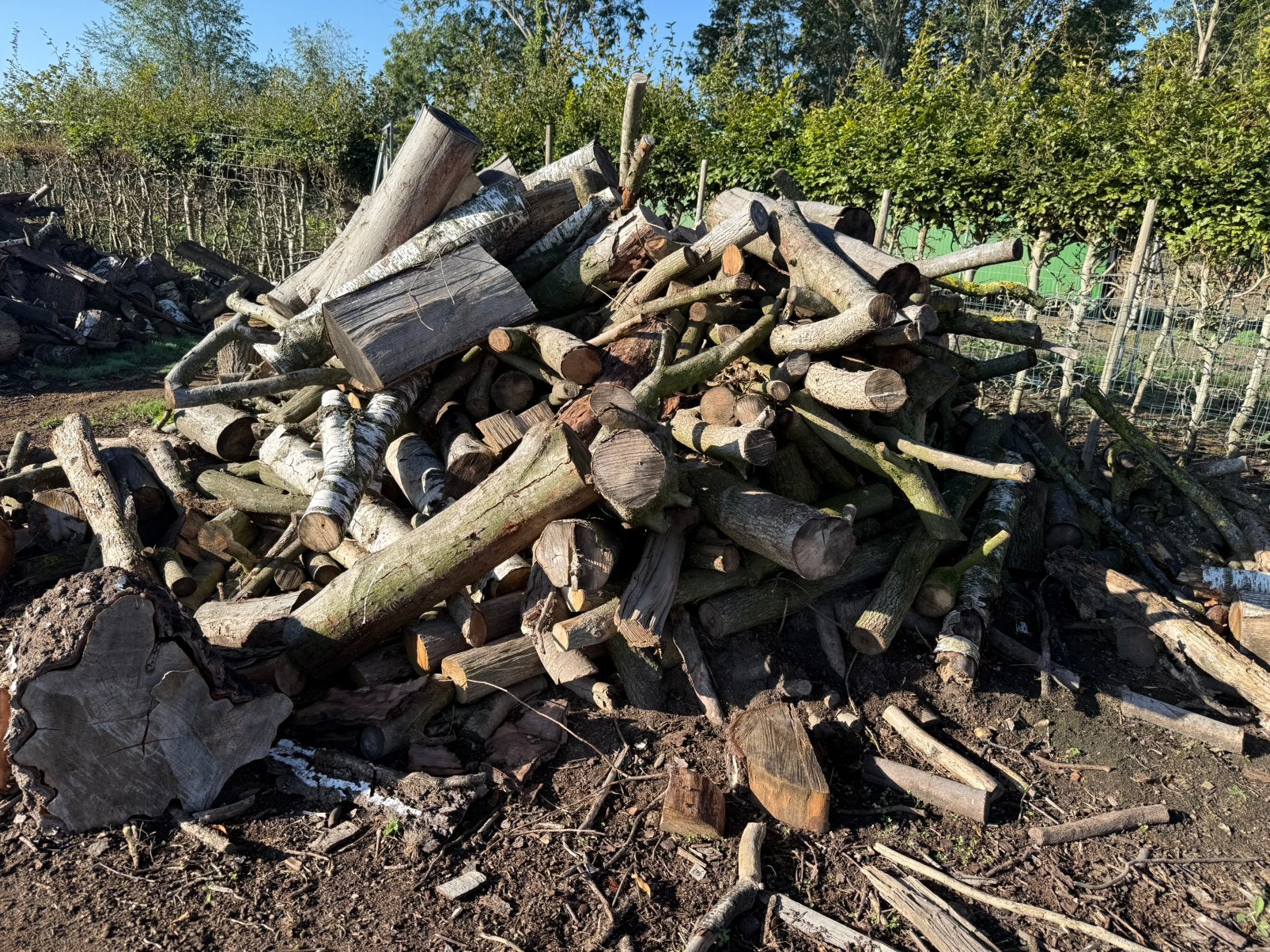 Stookhout haardhout brandhout, Tuin en Terras, 6 m³ of meer, Ophalen, Overige houtsoorten, Blokken