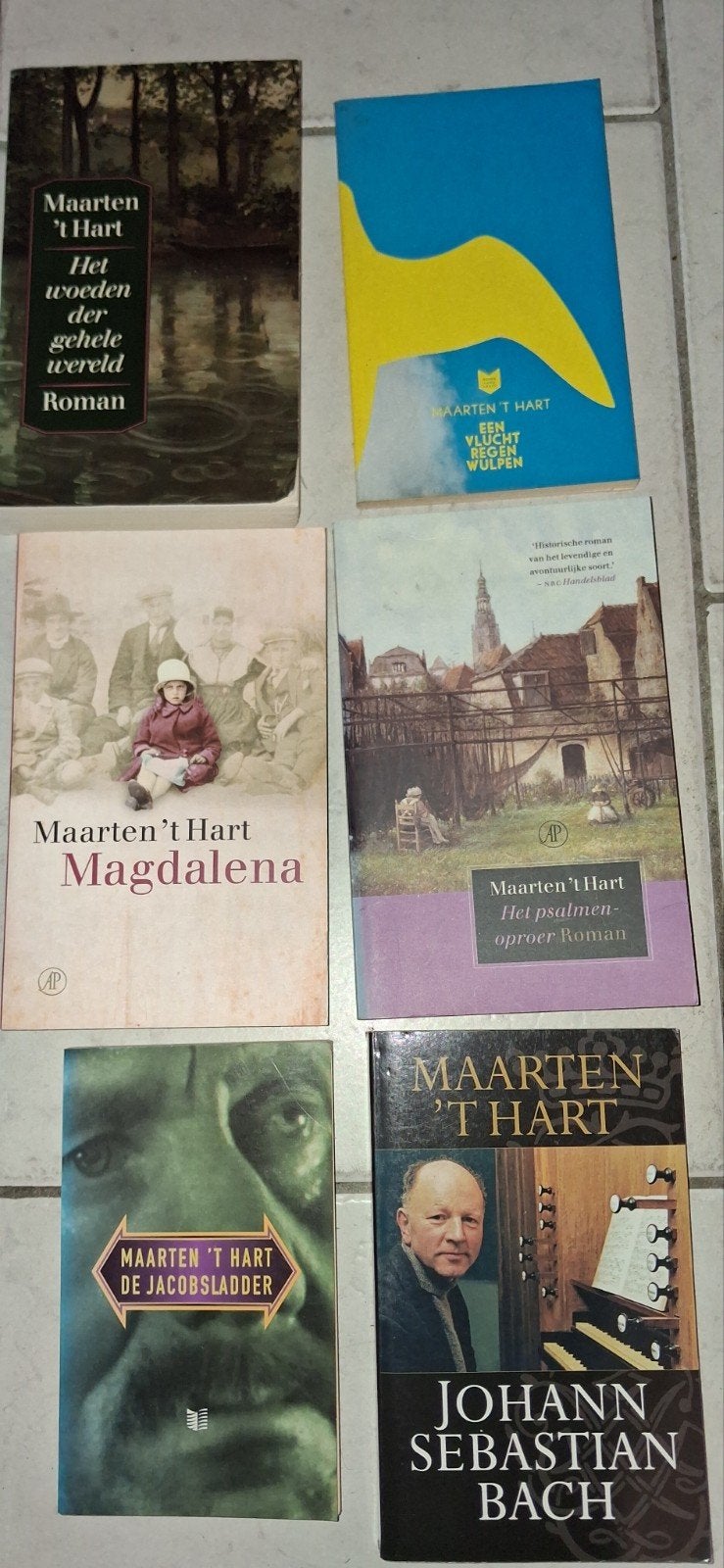 Maarten 't Hart Boeken Collectie - 6 Romans samen 10.-, Ophalen of Verzenden, Gelezen, Maarten 't Hart, Nederland