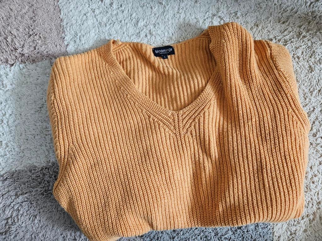 Oranje katoenen trui van Bloomings, maat L, Ophalen of Verzenden, Zo goed als nieuw, Maat 38/40 (M), Oranje
