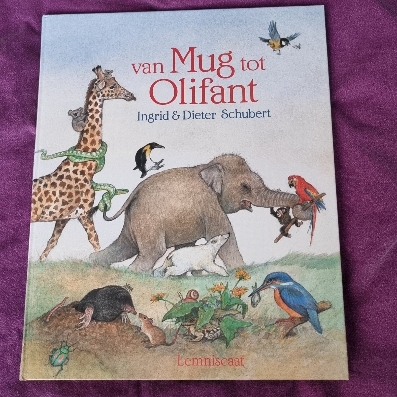 Kinderboek Van Mug tot Olifant voor Flevosap, Ophalen of Verzenden, Zo goed als nieuw
