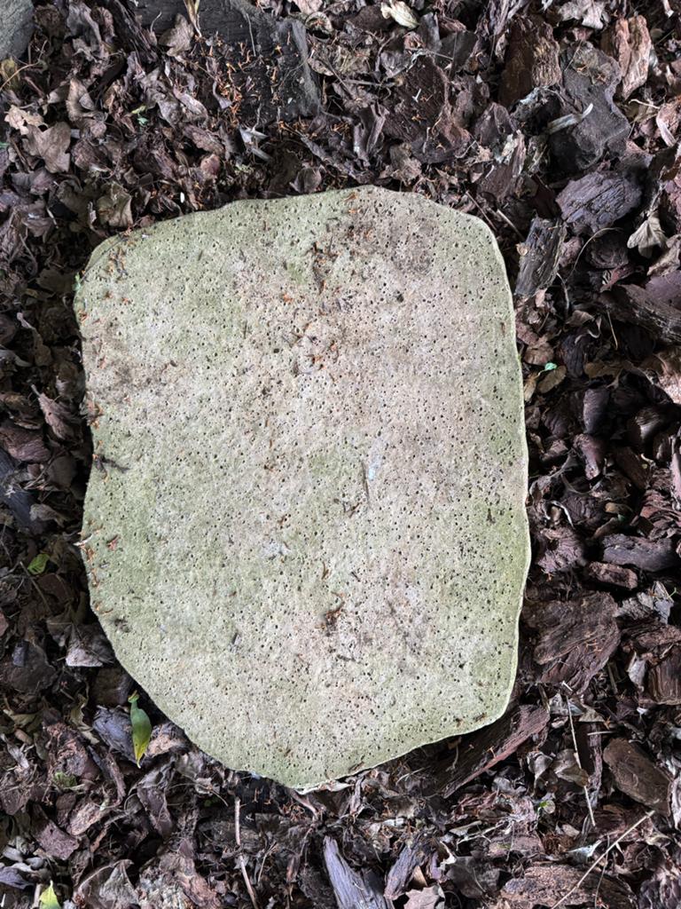 Decoratieve platte steen voor tuin of vijver, Tuin en Terras, Grind, Keien en Split, Ophalen, Overige materialen, Gebruikt, Kei