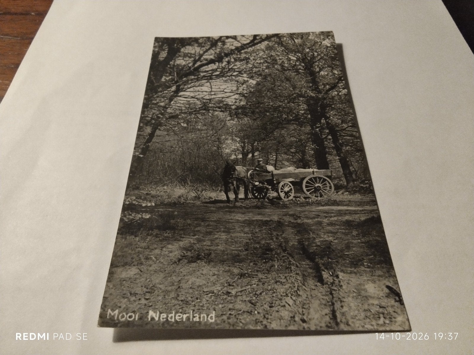 Oude Ansichtkaart: Mooi Nederland met Paard en Wagen, Ophalen of Verzenden, Voor 1920, Ongelopen, Zuid-Holland