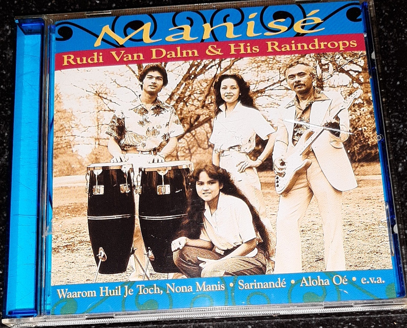 Rudi van Dalm & his Raindrops manisé, Ophalen of Verzenden, Zo goed als nieuw, Album, Overige genres