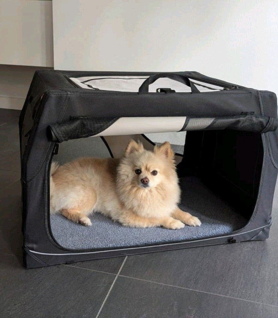Trixie hondenbox, Dieren en Toebehoren, Ophalen, Zo goed als nieuw