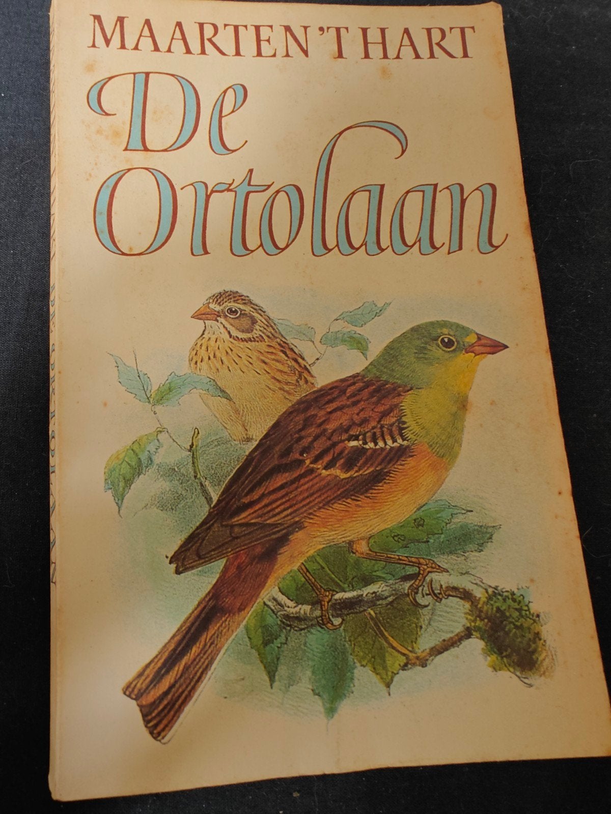Maarten 't Hart - De Ortolanen (Boek), Ophalen of Verzenden, Gelezen, Maarten 't Hart, Nederland