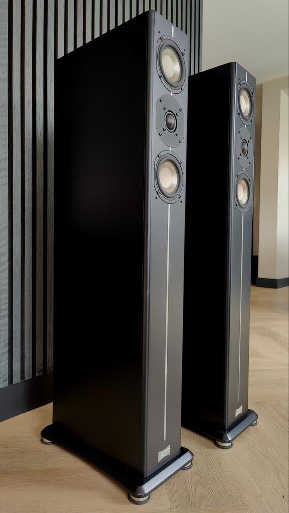 ASW CANTIUS 404 Vloerstaande Luidsprekers, Zo goed als nieuw, 60 tot 120 watt, Front, Rear of Stereo speakers, Ophalen