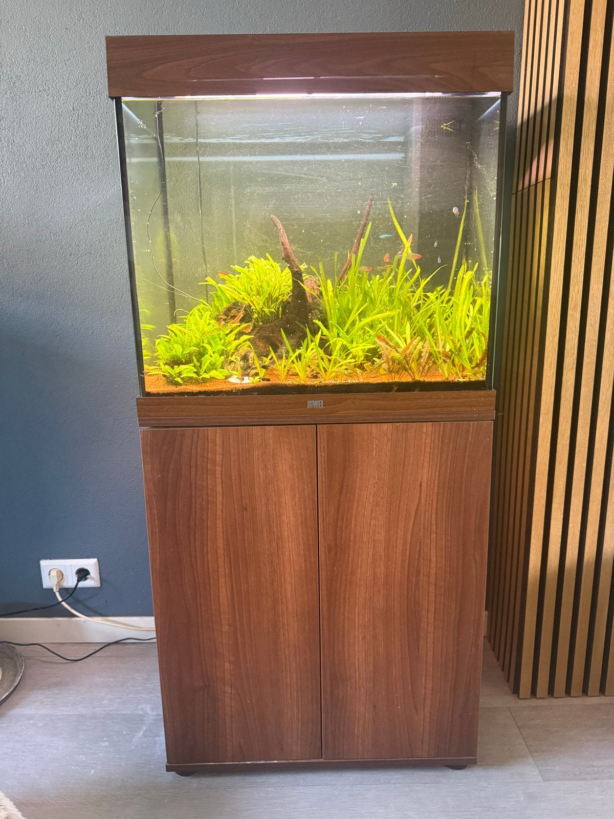 Juwel Lido 120 compleet aquarium, Dieren en Toebehoren, Ophalen