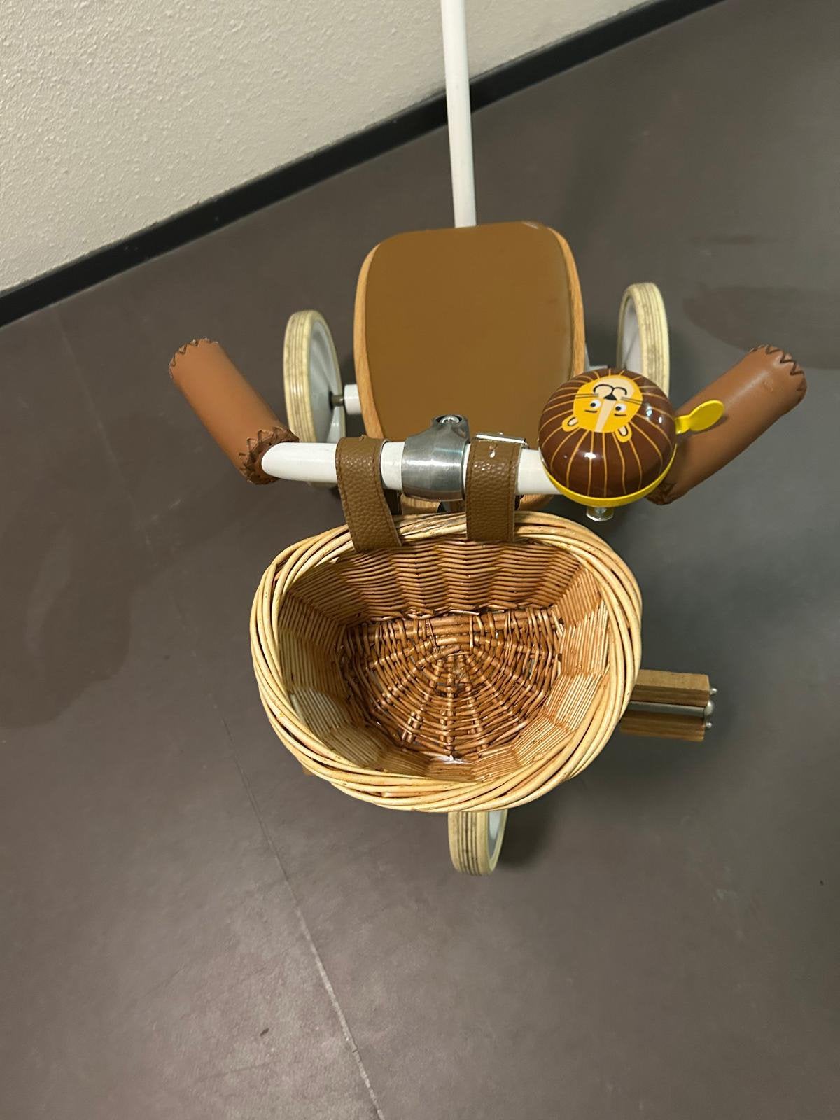 Banwood kinderfietsje met stang + mandje. Driewieler. ZGAN, Ophalen, Zo goed als nieuw, Minder dan 16 inch
