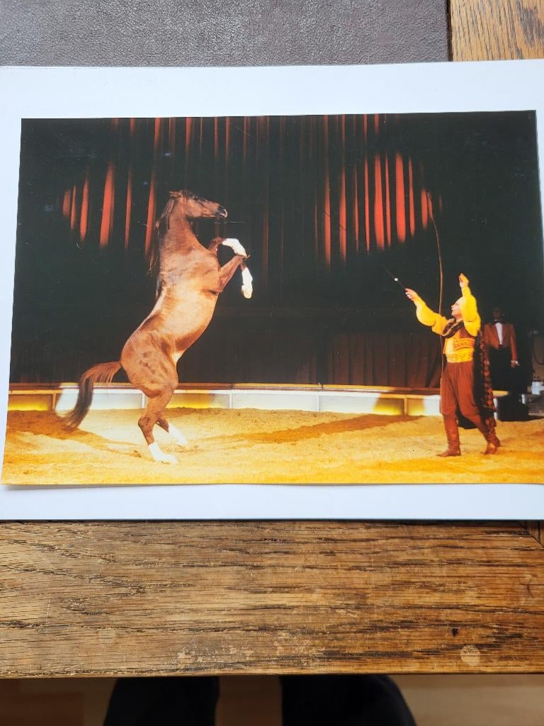 Circus/ grote foto van een steigerend paard., Ophalen of Verzenden, Zo goed als nieuw