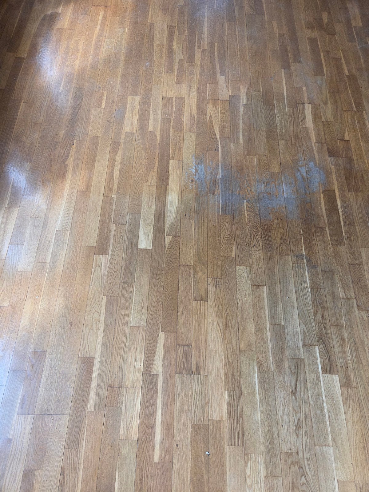 Parketvloer +/- 28 m2. Gebruikt, Gebruikt, 10 m² of meer, 10 tot 30 cm, Hout