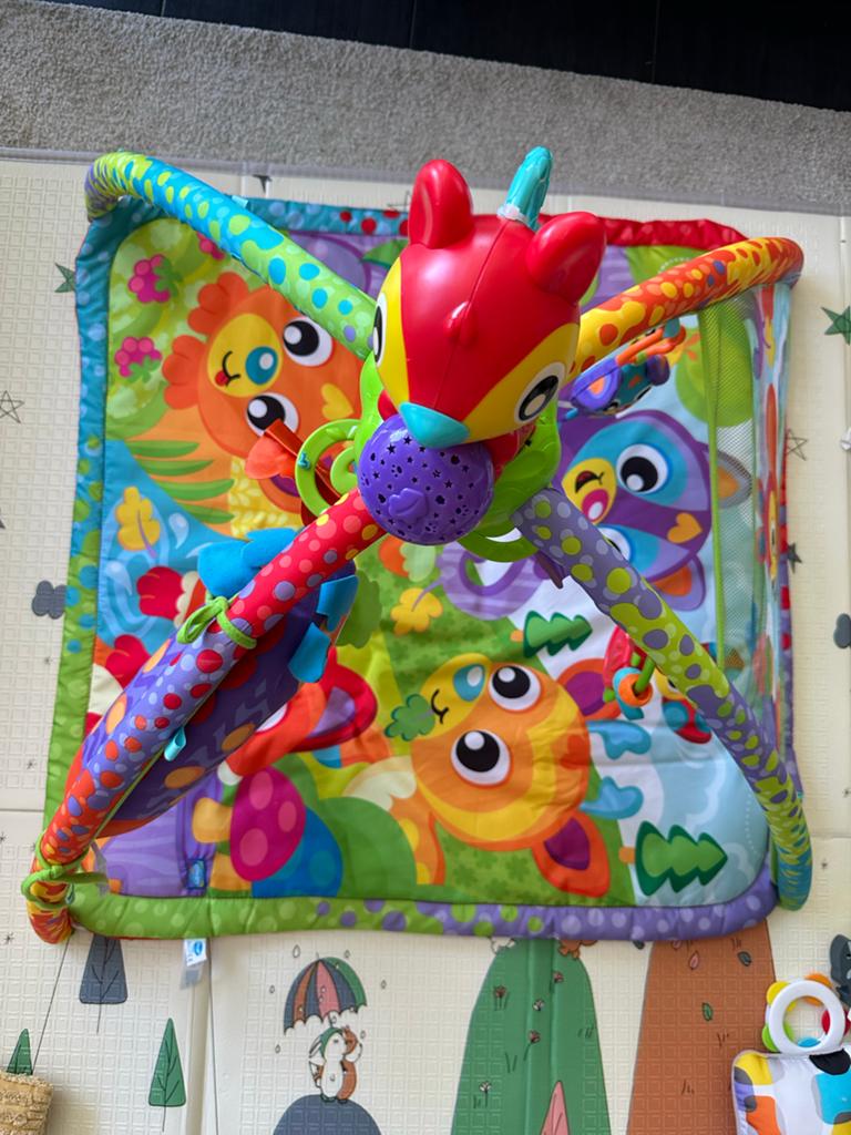 Playgro 4-in-1 Speelkleed Woodlands Muziek & Projector, Ophalen, Zo goed als nieuw