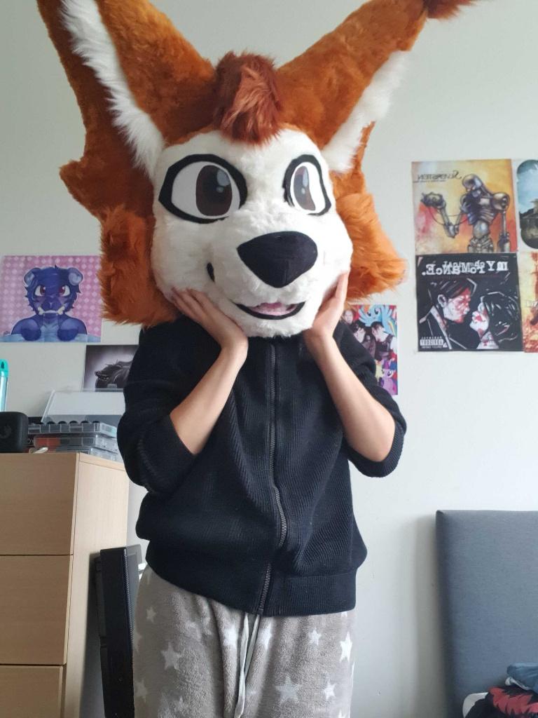 fursuit head without neck, Ophalen, Nieuw, Overige typen