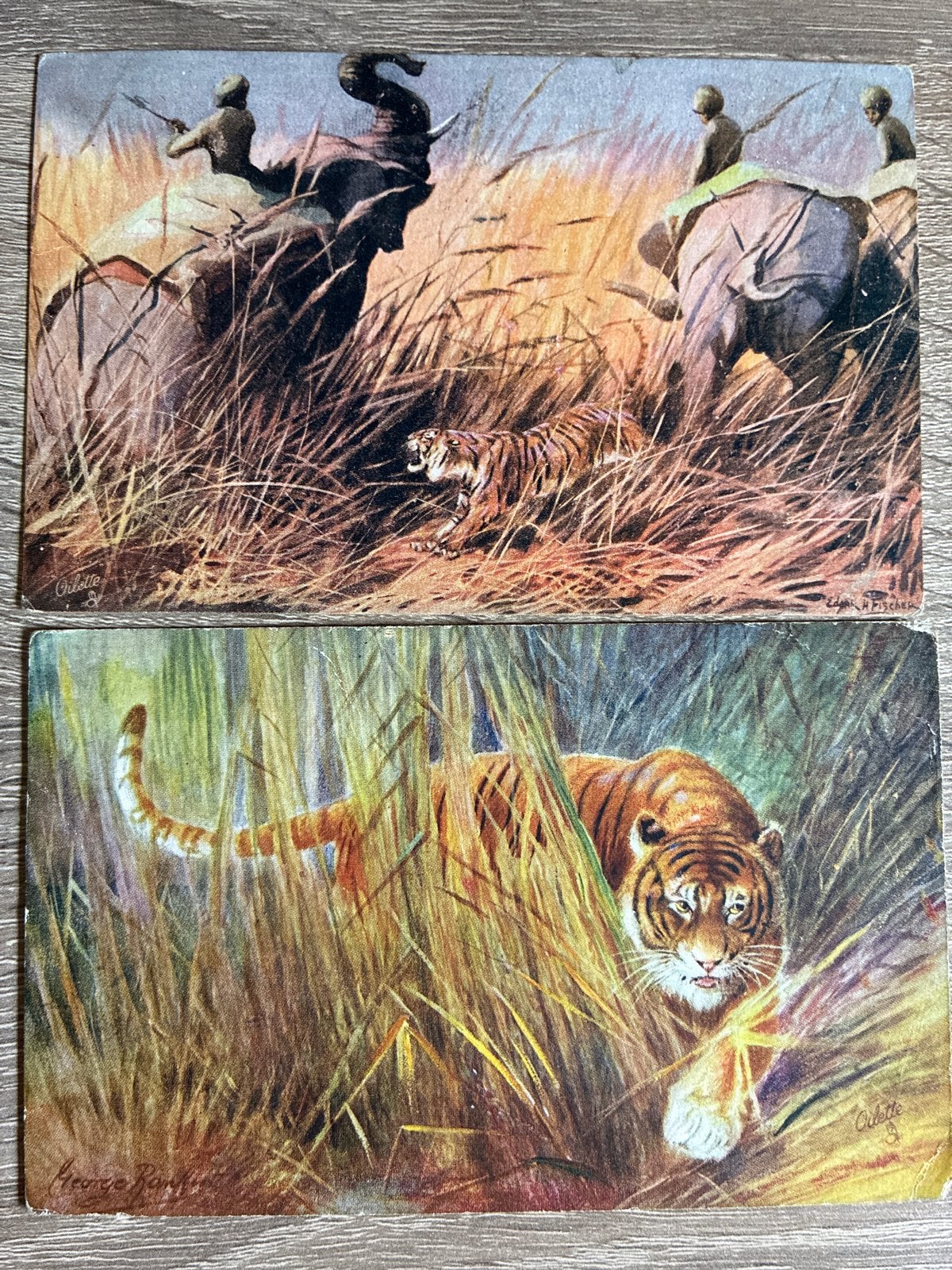2 Oude Ansichtkaarten - Tijgerjacht - TUCK'S POST CARD, Ophalen of Verzenden, Voor 1920, Gelopen, Gelderland