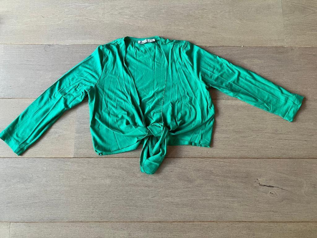 Positiekleding - groen truitje, Ophalen, Maat 42/44 (L), Zo goed als nieuw, Groen