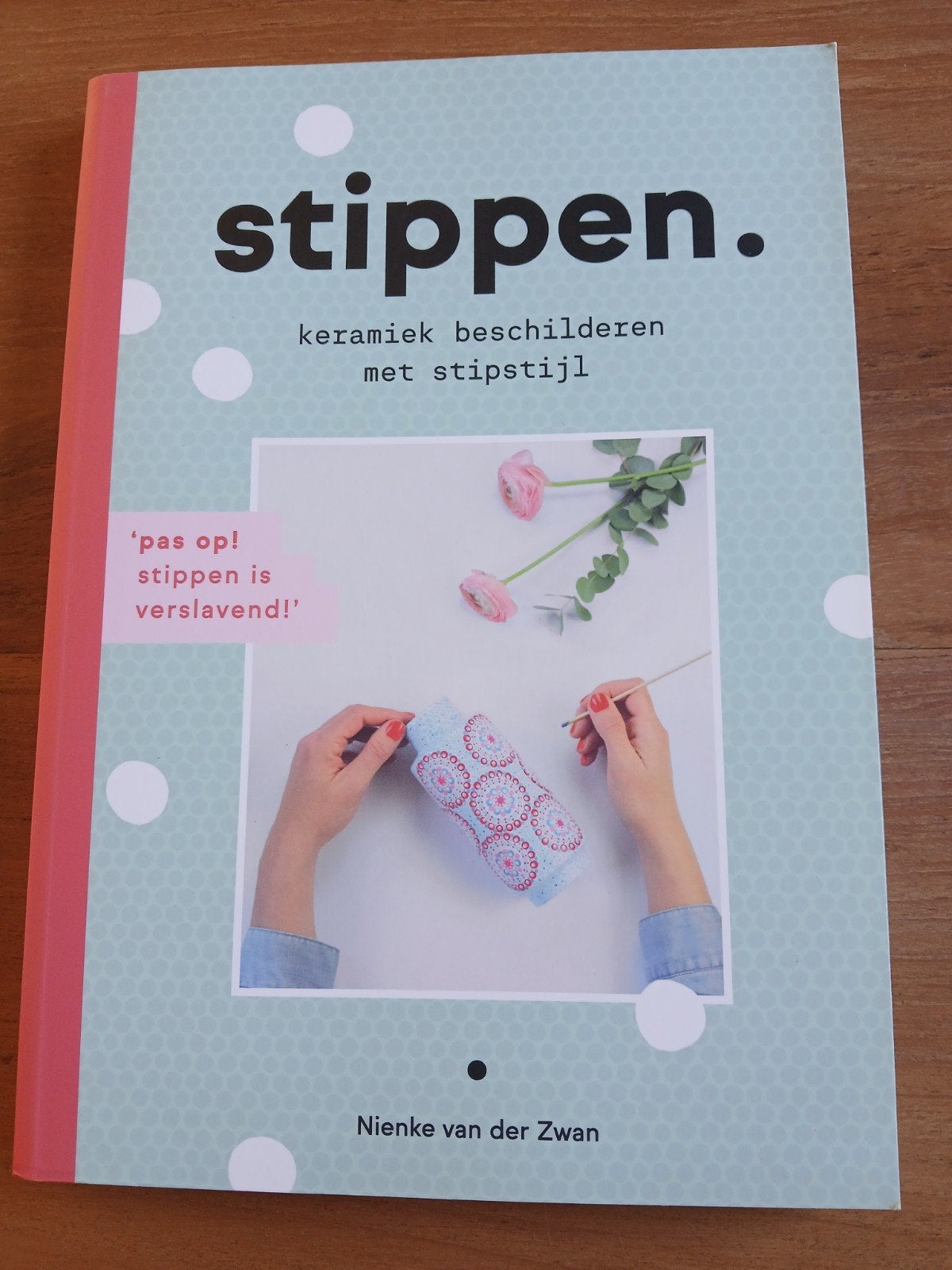 Nienke van der Zwan - Stippen., Ophalen of Verzenden, Zo goed als nieuw, Nienke van der Zwan, Tekenen en Schilderen