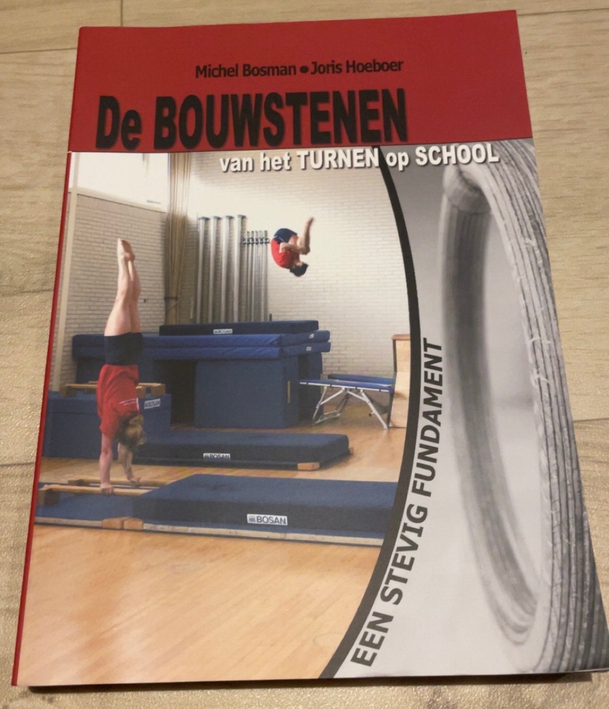 De Bouwstenen van het turnen op school, Boeken, Studieboeken en Cursussen, Ophalen of Verzenden, Alpha, Zo goed als nieuw, HBO