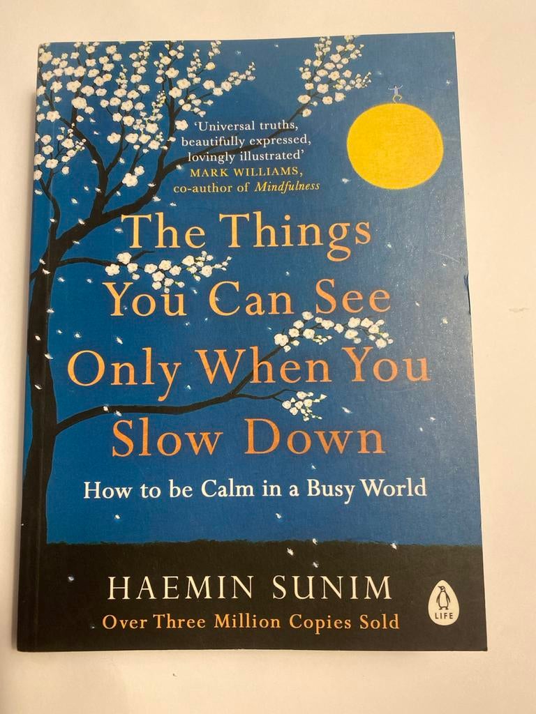 The Things You Can See Only When You Slow Down, Ophalen of Verzenden, Zo goed als nieuw, Spiritualiteit algemeen, Achtergrond en Informatie