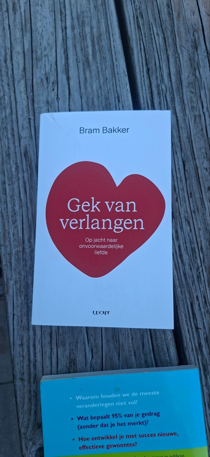 Ben Tiggelaar Bram Bakker Echart Tolle Erik Scherde Ayurveda, Spiritualiteit algemeen, Ophalen of Verzenden, Zo goed als nieuw